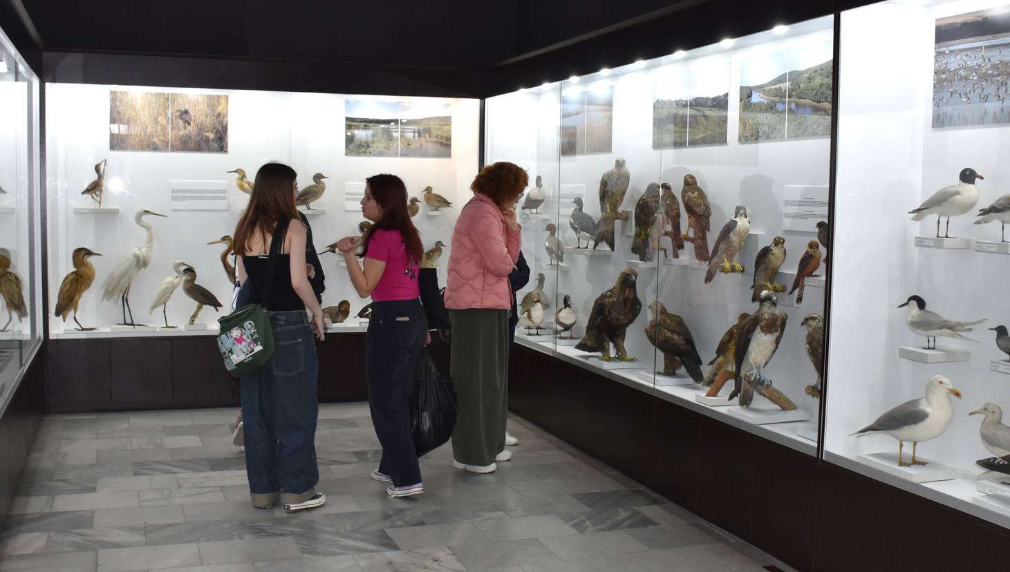  Природонаучен музей 